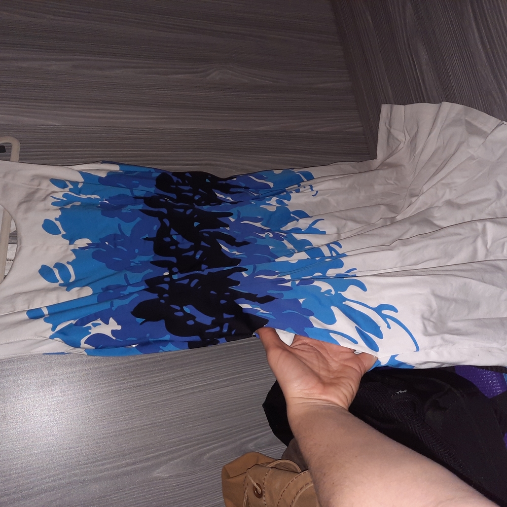 Ricki's Blue and Black Midi Dress